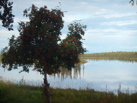 Aussicht auf den See